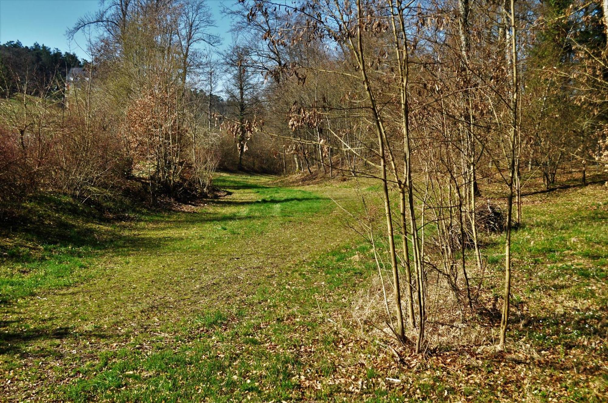 Domaine De Mont-Renaud Hotel Boncourt Buitenkant foto