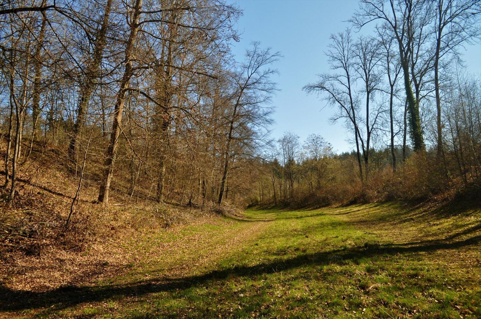 Domaine De Mont-Renaud Hotel Boncourt Buitenkant foto