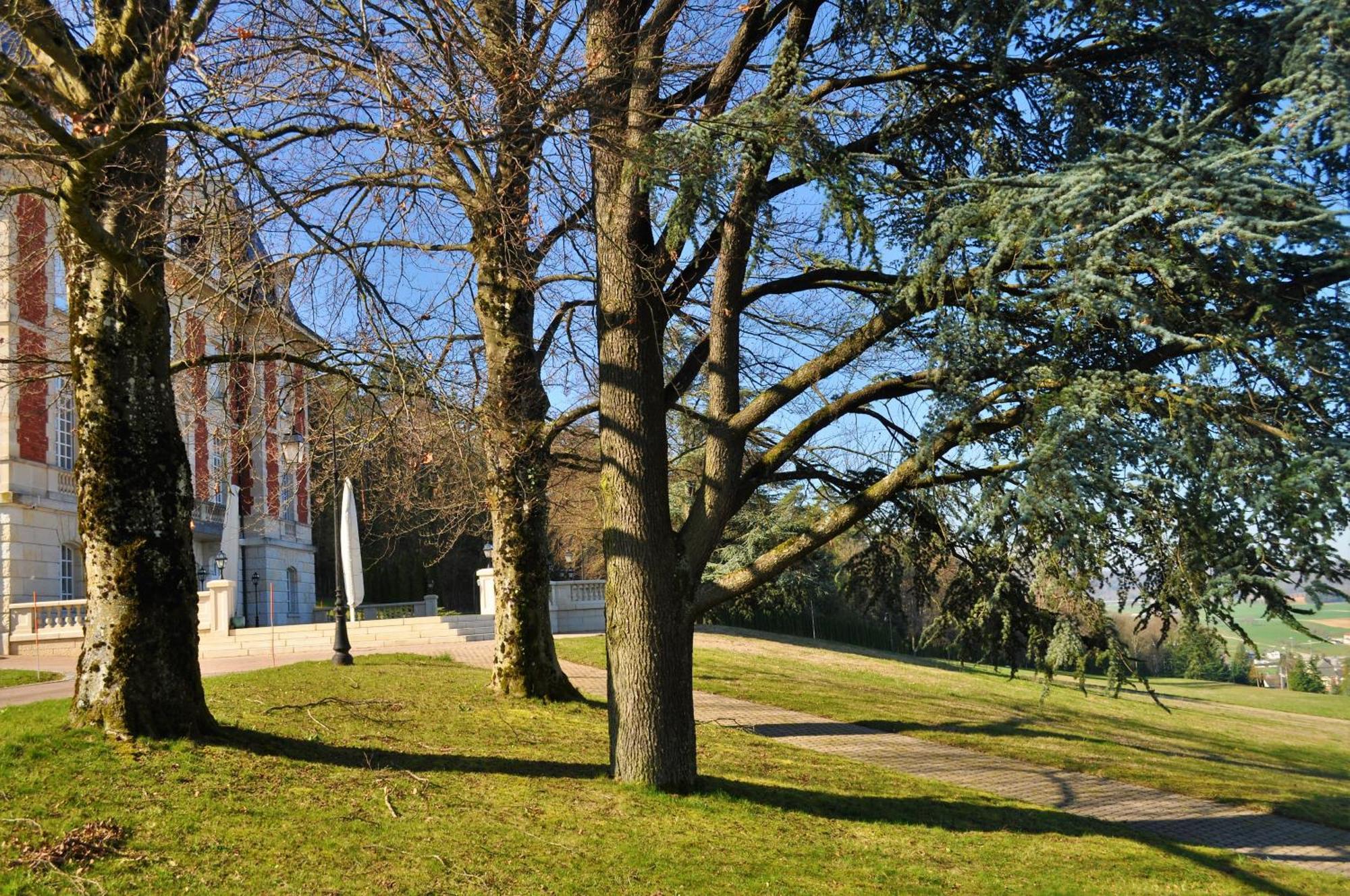 Domaine De Mont-Renaud Hotel Boncourt Buitenkant foto